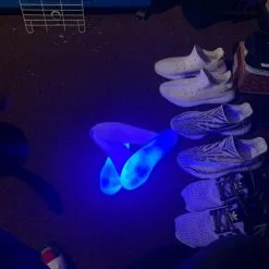 Adidas Yeezy 350 Boost v2 Zebra