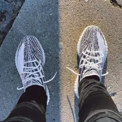 Adidas Yeezy 350 Boost v2 Zebra