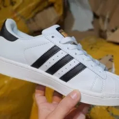 Adidas Superstar tem vang sneakerhs.com